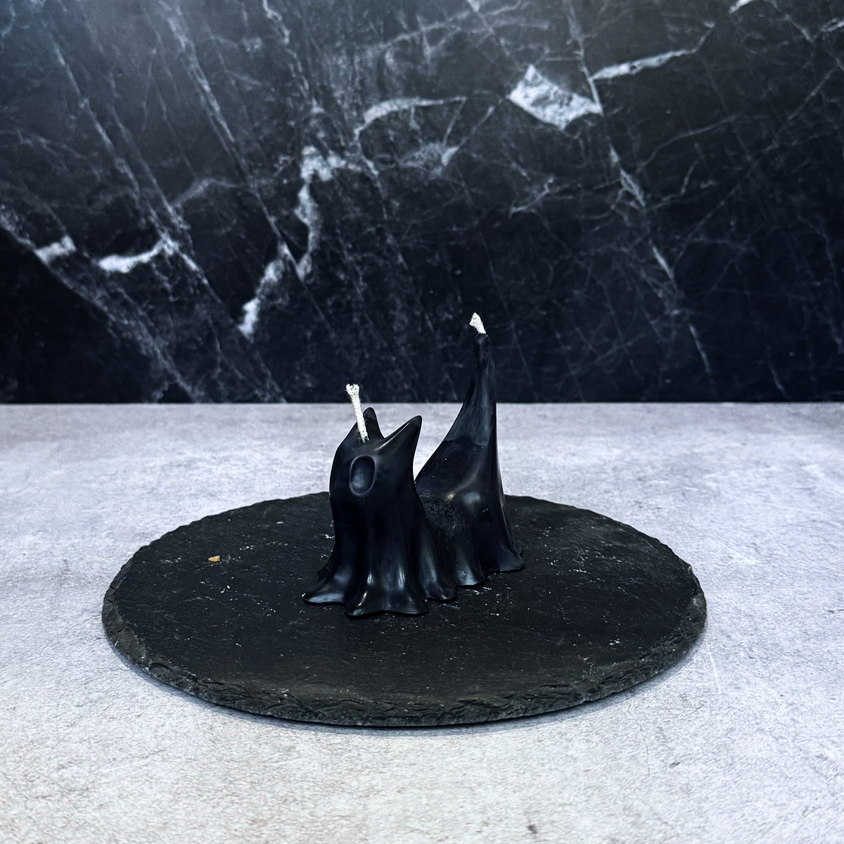 Salem & Binx